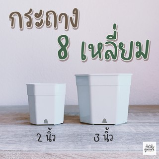 กระถาง8เหลี่ยม กระถางแคคตัส กระถางกระบองเพชร (2 นิ้ว/ 3 นิ้ว)