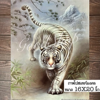 ภาพโปสเตอร์เสือขาว เสริมฮวงจุ้ย ขนาด16X20นิ้ว