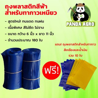 ถุงพลาสติกสีน้ำเงินฟ้า สำหรับทากาวเหนียวดักแมลง *** ฟรี! ถุงพลาสติกสีเหลือง 5 ใบ สีน้ำเงินฟ้า 5 ใบ ***