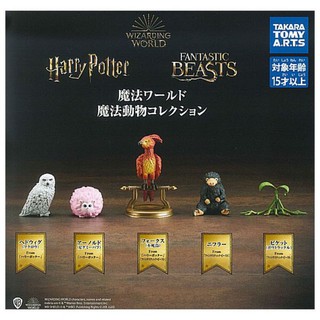 Gashapon Wizarding World Harry Potter and Fantastic Beasts กาชาปองแฮร์รี่ พอตเตอร์