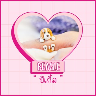 Ring / แหวน : Beagle / บีเกิ้ล