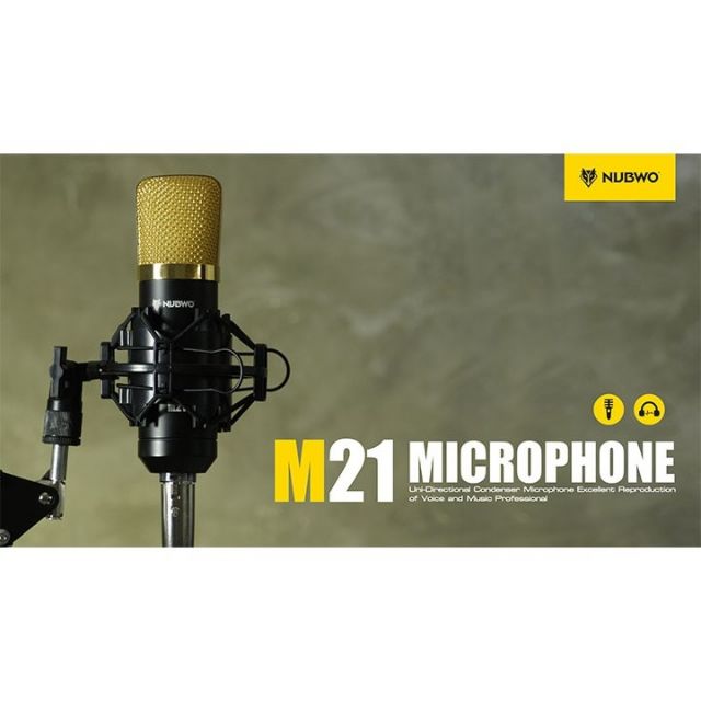 ไมค์ร้องเพลงM21_MICROPHONE
