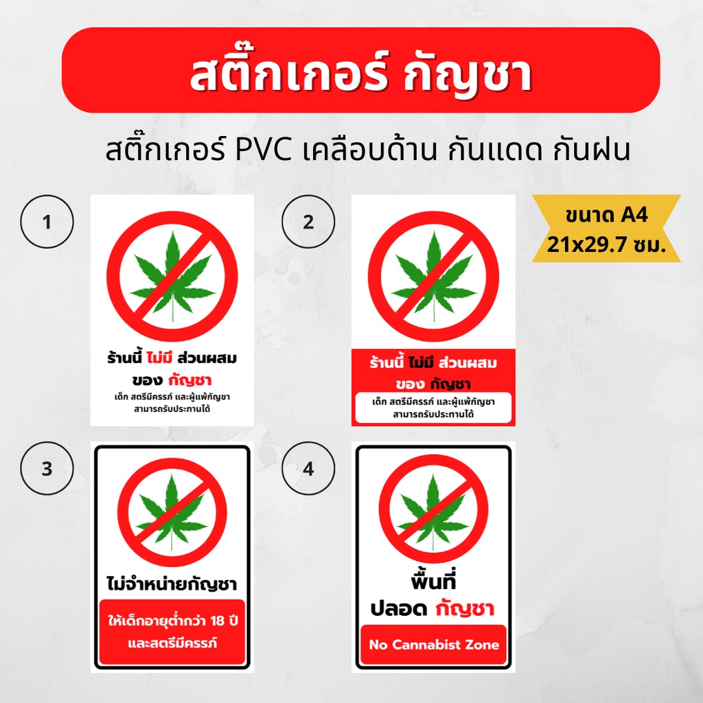 สติ๊กเกอร์ "ร้านนี้ปลอดกัญชา" สติ๊กเกอร์ PVC เคลือบด้าน กันน้ำ ทนแดด ขนาด A4 21x29.7 ซม. มี 4 แบบให้