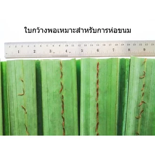 ใบจากสด organic ใบจากทำขนม ใบจากห่อขนม จากชุมชนในบาง