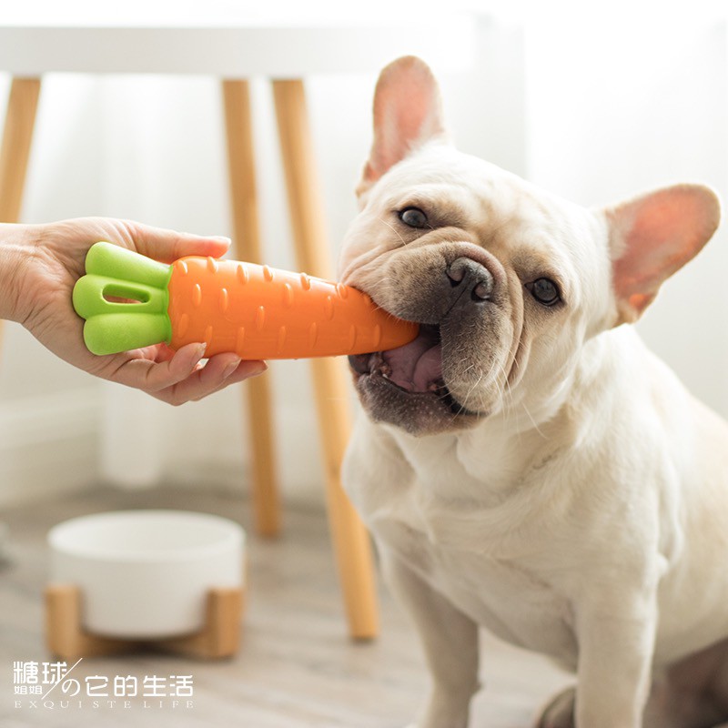 ของเล่นนัข FOFOS Vegi Bites ของเล่นขัดฟัน สำหรับสัตว์เลี้ยง ฝึกสมาธิ