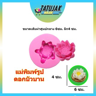 แม่พิมพ์ แม่พิมพ์ทำขนม พิมพ์ซิลิโคน 3D