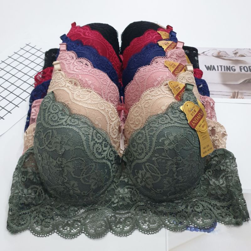 บรา | Bh 228 Big Cup Full Brocade | ชุดชั้นในคัพขนาดใหญ่ใช้ลวดโฟมบาง 3 ตะขอ