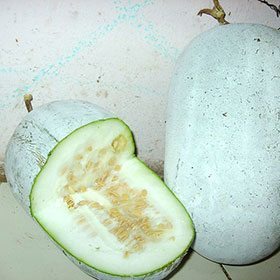 ฟักหม่น ฟักเขียว ฟักหอมหรือฟักป้อมมีทั้งแบบลูกสั้นและลูกยาว ทำอาหาร แกงก็อร่อย สดจากสวนธรรมชาติไม่มีสารพิษ 1ลูกประมาณ3กก - รูปที่ 6