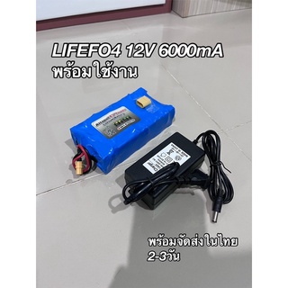 แบตเตอรี่ลิเธียมฟอสเฟต12V6000mA+เครื่องชาร์จ2A(พร้อมใช้งาน)