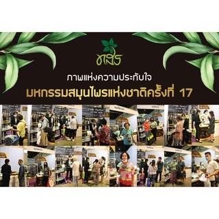 ลดความดันสูง เบาหวาน ไขมันในเลือดสูง ชาทสร ชาปัญจขันธ์ เจียวกู่หลาน ชาทสร 1 กล่อง