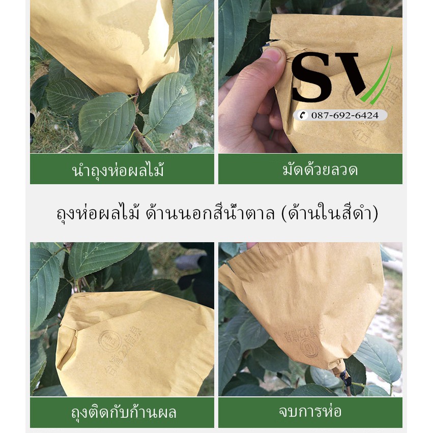 ถุงกระดาษห่อผลไม้ แพ็ค 100 ใบ ด้านนอกสีน้ำตาล (ด้านในเนื้อคาร์บอนสีดำ) เพื่อให้ผิวผลไม้สีนุ่มนวลขึ้น กันแมลง ราคา ถูกที่สุด ดีลบีเคเค แกลเลอรีภาพที่ 3