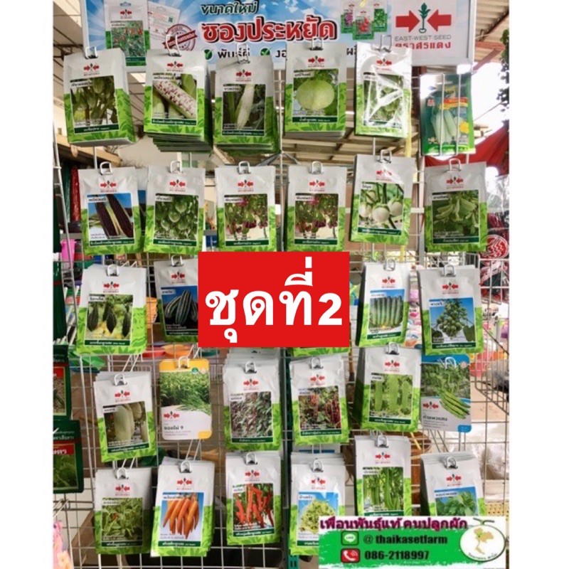 ผักซองศรแดง10บาทประหยัดขายดี ชุดที่2