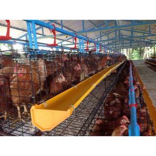 รางอาหารไก่ ขนาด 2.5 เมตร (5เส้น/แพ็ค)