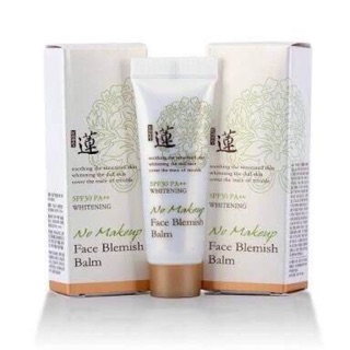BB Welcos Face Blemish Balm SPF30 PA++