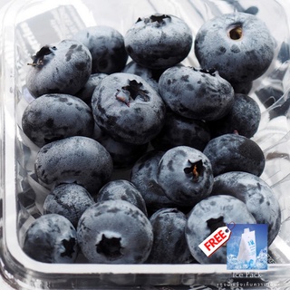 บลูเบอรี่นำเข้า Blueberry (USA/NZL/Peru/Chile) (1แพค/125g.) แถม FREE ถุงน้ําแข็งเก็บความเย็น Premium ที่สุดของบลูเบอร์รี