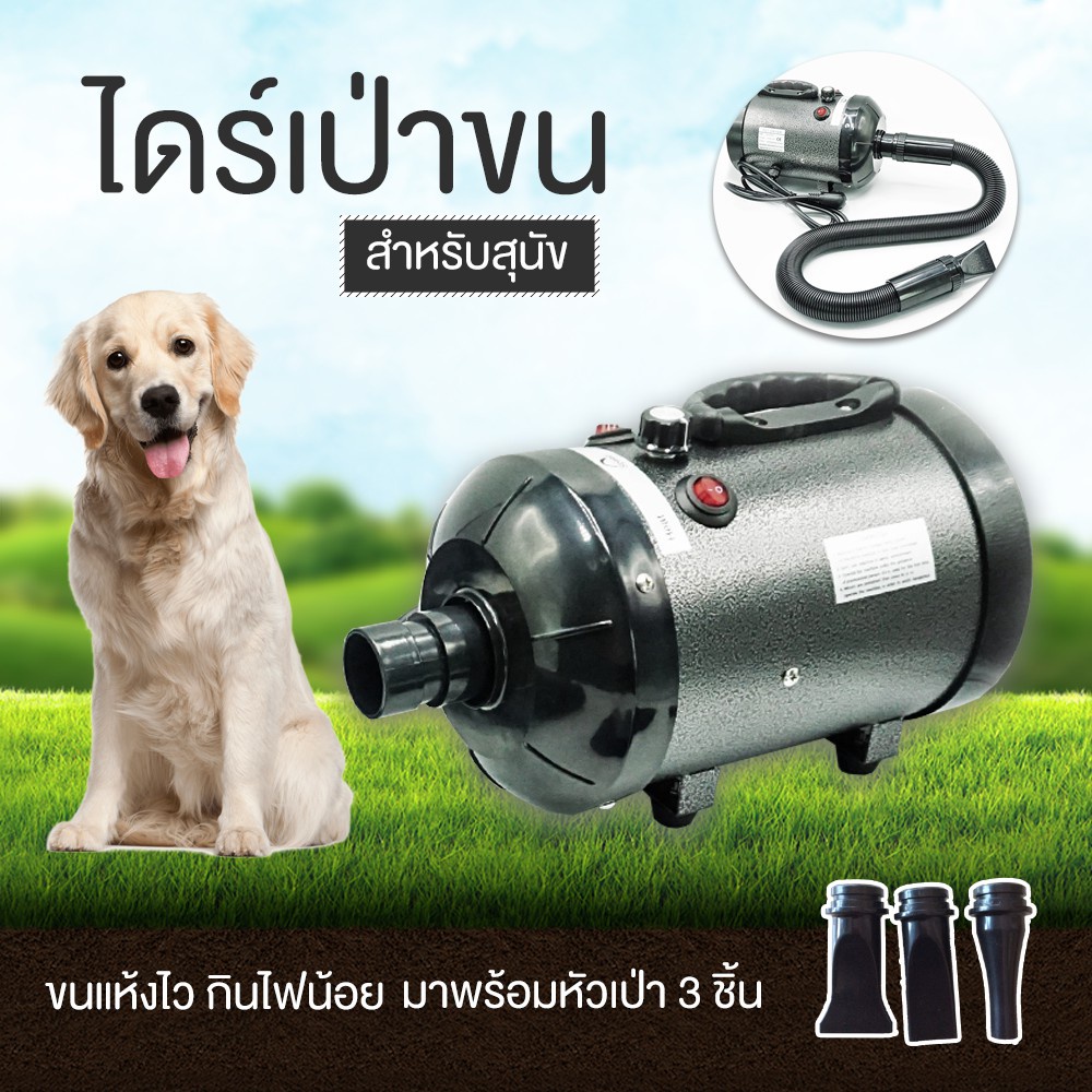 พร้อมส่ง ไดร์เป่าขน 2800W รุ่นใหม่ไดร์ขนสุนัข ไดร์เป่าขนแมว เครื่องเป่าขน ไดร์ไล่น้ำ ไดร์เป่าขนสัตว์ ไดร์เป่าขนหมา