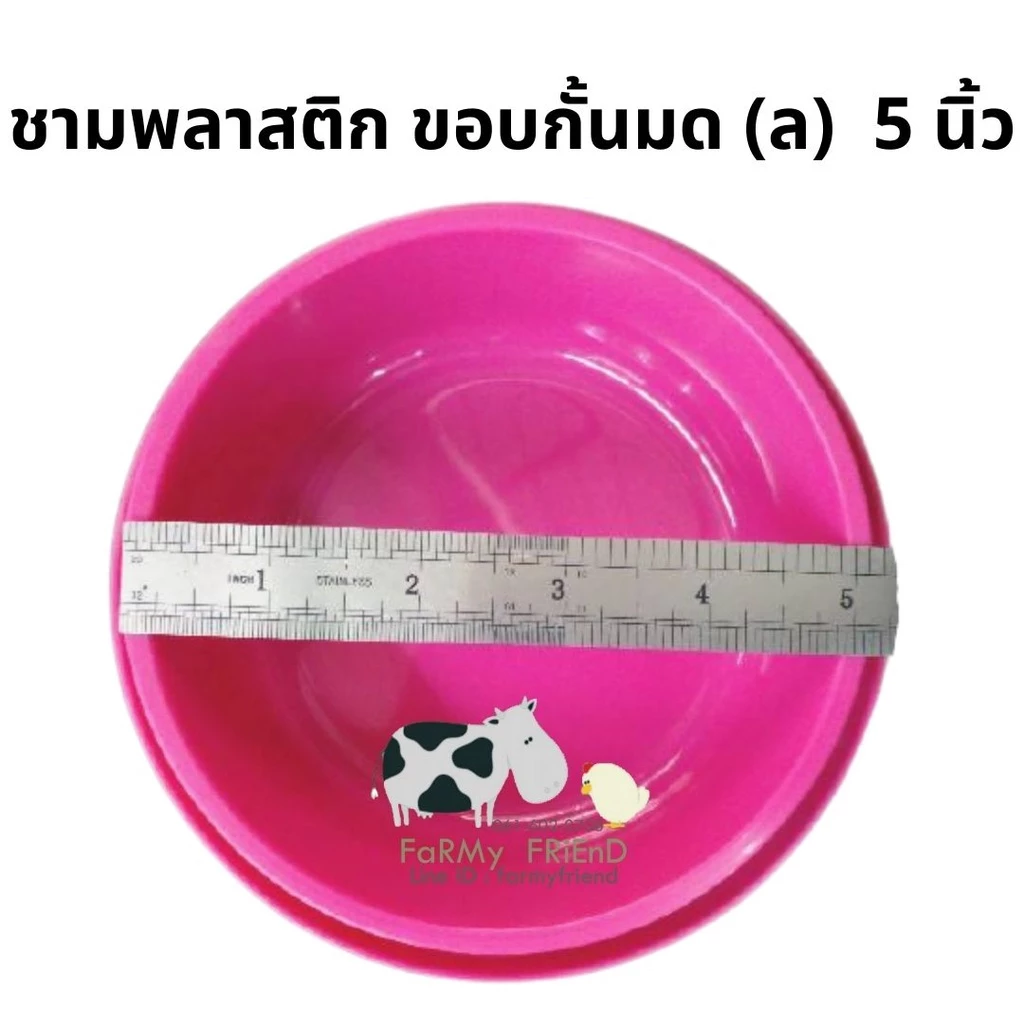 ชามสุนัข (กั้นมด) ชามใส่อาหารสุนัข ถ้วยพลาสติกกลมสีสัน #ล-ญ (คละสี) (สินค้าบางตัวมีตำหนิโปรดอ่านรายละเอียด) thumbnail 3