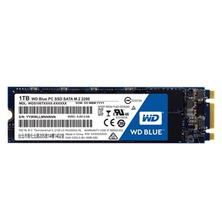 WDSSD1TB-M.2 3D NAND 5YEAR Model : WDSSD1TB-M.2-3D-5YEAR