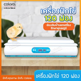 เครื่องฟักไข่ ชั้นฟักไข่ CW08 ตู้ฟักไข่ 120ใบ ไข่ไก่ ตู้ฟักไข่ห่าน ตู้ฟักไข่เป็ด ตู้ฟักไข่นก ฟักไข่ได้หลายชนิด อัตโนมัติ