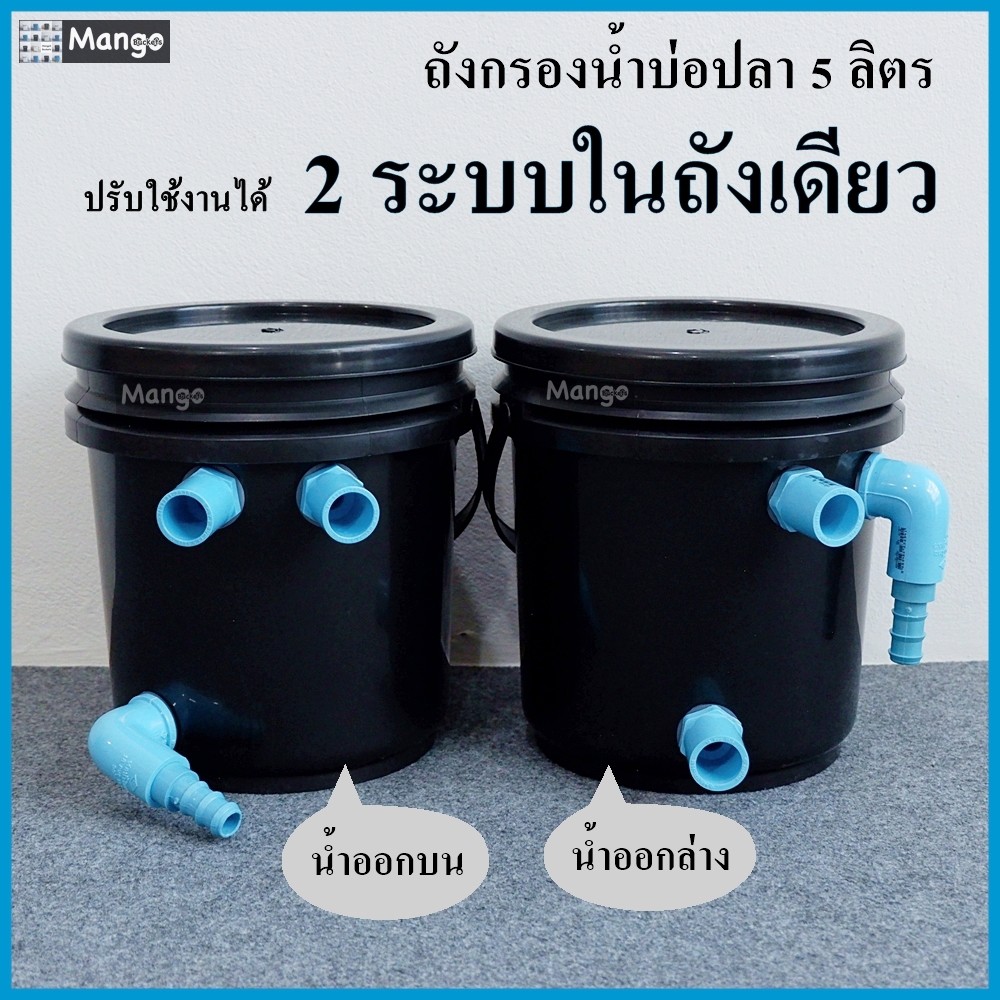 My Image 33