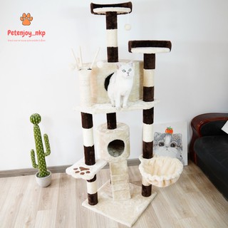 คอนโดแมว พร้อมส่ง 160cm. รุ่นWonderCastle