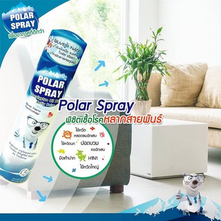 Polar Spray Eucalyptus Oil ของแท้100% โพลาร์ สเปรย์ ยูคาลิปตัส 280 ml. ล๊อตใหม่สุด