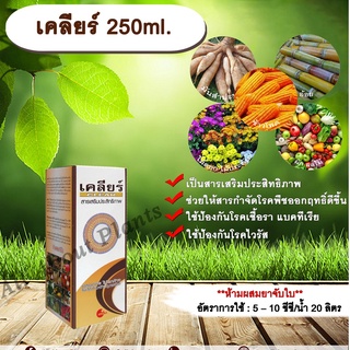 เคลียร์ 250ml. สารเสริมประสิทธิภาพ ช่วยให้สารกำจัดโรคพืชมีประสิทธิภาพมากขึ้น ป้องกันเชื้อรา แบคทีเรีย ไวรัส ขัดผิวผลผลิต