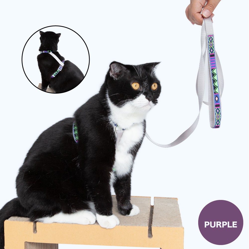 KAFBO สายรัดอกและสายจูงสำหรับแมว cat harness + leash ปลอกคอสำหรับสัตว์เลี้ยง