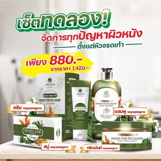 [แบรนด์แท้100%] Anyaa ชุดเชต 4 ชิ้น ครีม+สบู่+แชมพู+ทรีทเม้นท์ จบทุกปัญหาเรื่องผิวหนัง สมุนไพรไทยแท้100% โปรจัดส่งฟรี