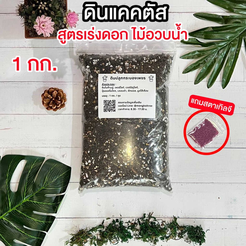 (แถมฟรี! สตาเกิลจี) ดินปลูกแคคตัส ขนาด 1 กก. ดินกระบองเพชร ไม้อวบน้ำ ผสมสำเร็จพร้อมปลูก สูตรเร่งดอก ต้นอวบ   ดินผสมใหม่ ราคา ถูกที่สุด ดีลบีเคเค