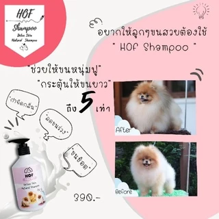 แชมพู1ขวดเร่งขนยาวสำหรับปอมเมอเรเนี่ยน ดูแลผิวหนัง/ลดคัน/ขี้เรื้อน/เชื้อรา/ลดขนร่วง /ขนนุช