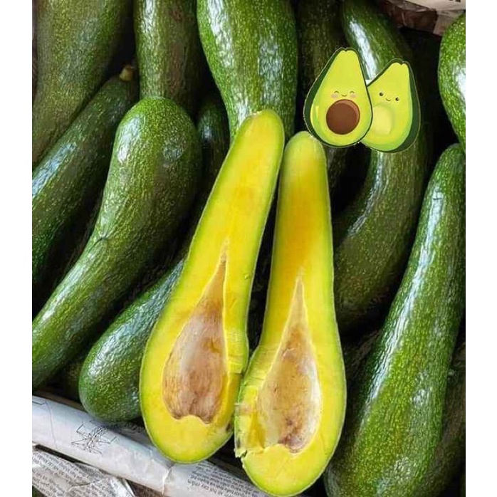 อะโวคาโด้ 🥑🤤 พันธ์ุ034  (ผลอะโวคาโด้ปลอดสารพิษ)  กก.ละ199บาท  ประมาณ3-5ลูกโล 🥑🥑🥑🥑🥑