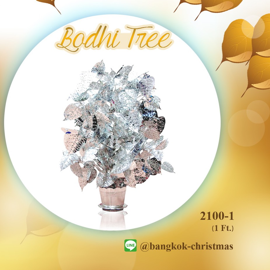 ต้นโพธิ์เงินต้นโพธิ์ทองBODHI TREE (2100-1)  ของขวัญเพิ่มบุญ ขนาด 1 ฟุต