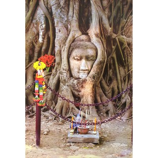 โปสเตอร์ รูปถ่าย พระ วัดไชย วัฒนาราม อยุธยา POSTER 24”x35” Inch Thai Amazing Photo Ayutthaya Kingdom