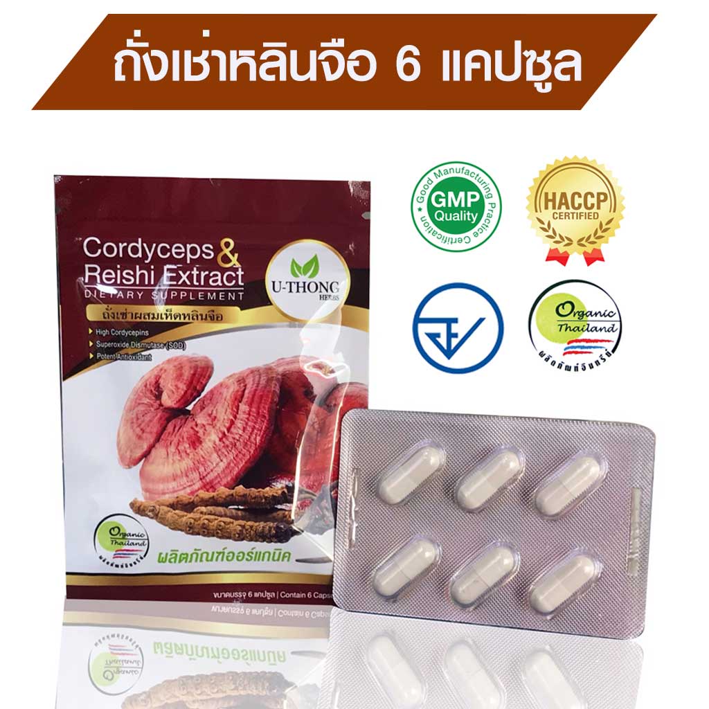 [ภูมิแพ้ เหนื่อยง่าย วัยทอง] ถั่งเช่าหลินจือแคปซูล 550 มก. อู่ทองเฮิร์บ แผงละ10เม็ด