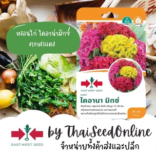 GGEW เมล็ดพันหงอนไก่ ไดอาน่ามิกซ์ 40เมล็ด ตราศรแดง เมล็ดดอกไม้