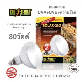 หลอดรวม โซล่าโกลด์ Exoterra – Solar Glo 80W  หลอดจำลองแสงอาทิตย์ 80วัตต์ (ของแท้)