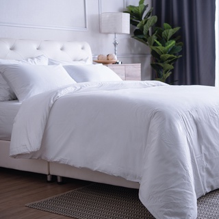 LUCKY mattress ผ้าห่ม ผ้านวม สีพื้น Cotton 100% ( SIGNATURE COTTON COLLECTION Pure Color)