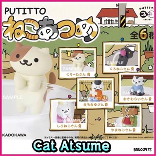 Nemo Atsume แมวอัตสึเมะ เกาะแก้ว ครบเซ็ท6ตัว๏มีสินค้าพร้อมส่ง๏