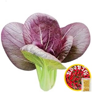 เมล็ดจีน bok Choy arax 260-310เมล็ด (Brassica Rapa L) heirloomed seeds seeds GPIU