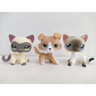 Littlest pet Shop ฟิกเกอร์แอกชัน CAT LPS ของเล่นสําหรับเด็ก 3 ชิ้น ต่อล็อต #317