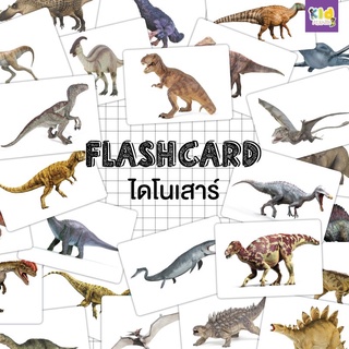 แฟลชการ์ด (flash card) ไดโนเสาร์ (Dinosaur) จำนวน 25 ใบ ขนาด A5