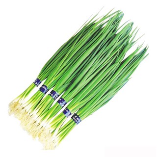 หอมแบ่ง เมล็ดพันธ์ุนำเข้า จาก จีน จำนวน 150+ เมล็ด    ราคา   50  บาท  สนใจสั่งได้นะคะ