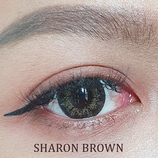 Sharon Brown บิ๊กอาย สีน้ำตาล น้ำตาล โตกลางๆ ทรีโทน Bigeye Kitty Kawaii คอนแทคเลนส์ ค่าสายตา ค่าอมน้ำสูง ค่าสายตา
