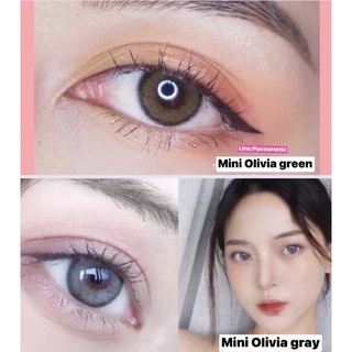 🎄Mini Olivia Green/Gray⚖️สายตาปกติถึง-5.00,-5.50,-6.00,-6.50(kitty kawaii)