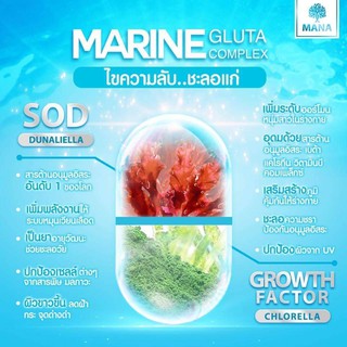 MANA MARINE Gluta Complex