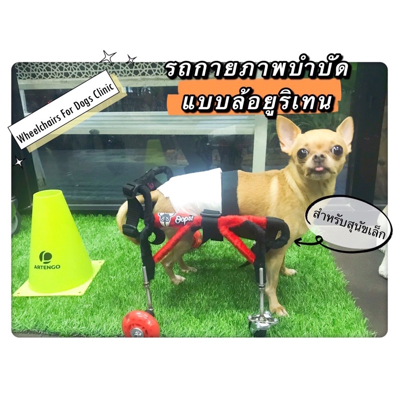 วีลแชร์สุนัข ครงเหล็กกันสนิม ขนาดไซส์Sสัตว์เลี้ยง wheelchair for dog สุนัขเล็ก **ติดต่อร้านค้าก่อนสั