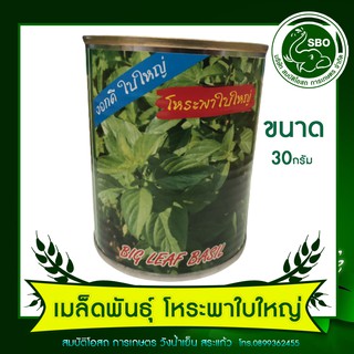 เมล็ดพันธุ์ โหระพาใบใหญ่ 30กรัม (ตราปลาทอง)