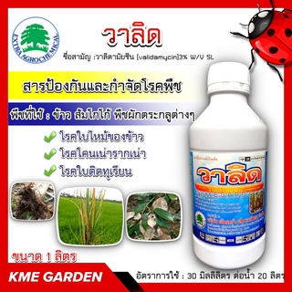 🦠โรคพืช🦠 วาลิด ขนาด 1 ลิตร วาลิดามัยซิน ป้องกันและกำจัดโรคใบไหม้ของข้าว โรคโคนเน่ารากเน่า โรคใบติดทุเรียน ผลิตภัณฑ์กำจัด