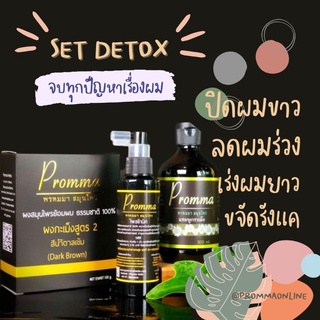 Set Detox ลดผมร่วง ปิดผมขาวสูตร 2 (สีน้ำตาลเข้ม)